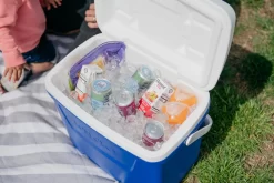 IGLOO Laguna 28QT Cool Box Red -Outdoor Camping Store kb309529a331bee3c9613a50999a7df51