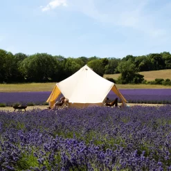 Classic Bell Tent -Outdoor Camping Store kfa153aff98230e0989d0c9f0a70bcee6